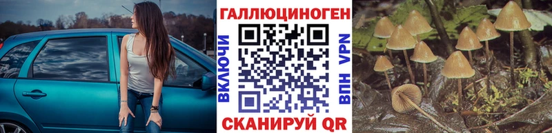 Псилоцибиновые грибы GOLDEN TEACHER  закладка  Губкинский 